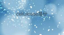 cellulosae是什么意思 cellulosae的中文翻译、读音、例句