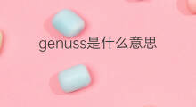 genuss是什么意思 genuss的中文翻译、读音、例句