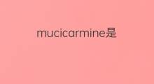 mucicarmine是什么意思 mucicarmine的中文翻译、读音、例句