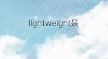 lightweight是什么意思 lightweight的中文翻译、读音、例句