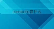 carabella是什么意思 carabella的中文翻译、读音、例句