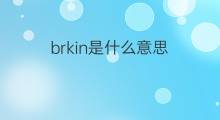 brkin是什么意思 brkin的中文翻译、读音、例句