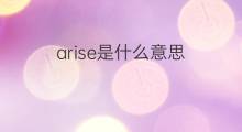arise是什么意思 arise的中文翻译、读音、例句