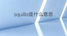 squilla是什么意思 squilla的中文翻译、读音、例句