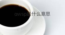 awsp是什么意思 awsp的中文翻译、读音、例句