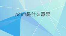 pcim是什么意思 pcim的中文翻译、读音、例句