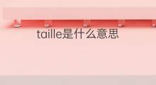 taille是什么意思 taille的中文翻译、读音、例句