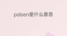 palsen是什么意思 palsen的中文翻译、读音、例句