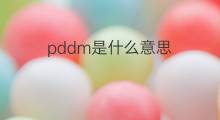 pddm是什么意思 pddm的中文翻译、读音、例句