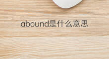 abound是什么意思 abound的中文翻译、读音、例句