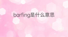 barfing是什么意思 barfing的中文翻译、读音、例句
