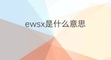 ewsx是什么意思 ewsx的中文翻译、读音、例句