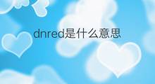 dnred是什么意思 dnred的中文翻译、读音、例句