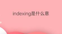 indexing是什么意思 indexing的中文翻译、读音、例句