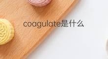 coagulate是什么意思 coagulate的中文翻译、读音、例句