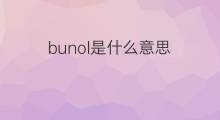 bunol是什么意思 英文名bunol的翻译、发音、来源