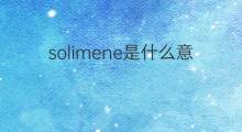 solimene是什么意思 solimene的中文翻译、读音、例句