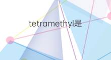 tetramethyl是什么意思 tetramethyl的中文翻译、读音、例句