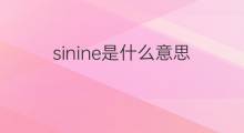 sinine是什么意思 sinine的中文翻译、读音、例句