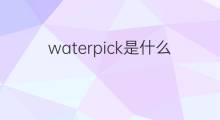 waterpick是什么意思 waterpick的中文翻译、读音、例句