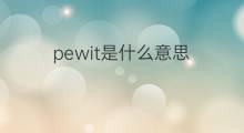pewit是什么意思 pewit的中文翻译、读音、例句