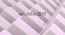 vexillifer是什么意思 vexillifer的中文翻译、读音、例句