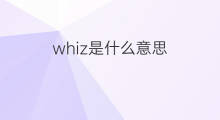 whiz是什么意思 whiz的中文翻译、读音、例句