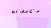 spinnaker是什么意思 spinnaker的中文翻译、读音、例句