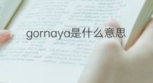 gornaya是什么意思 gornaya的中文翻译、读音、例句