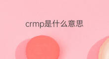 crmp是什么意思 crmp的中文翻译、读音、例句