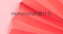 monomorph是什么意思 monomorph的中文翻译、读音、例句