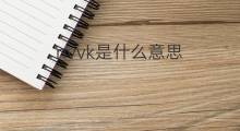 nvvk是什么意思 nvvk的中文翻译、读音、例句