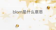 blom是什么意思 英文名blom的翻译、发音、来源