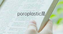 poroplastic是什么意思 poroplastic的中文翻译、读音、例句