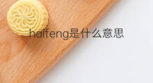 haifeng是什么意思 haifeng的中文翻译、读音、例句