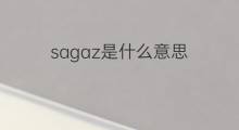 sagaz是什么意思 sagaz的中文翻译、读音、例句