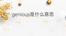 genious是什么意思 genious的中文翻译、读音、例句
