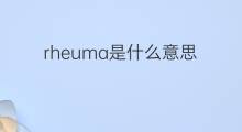 rheuma是什么意思 rheuma的中文翻译、读音、例句