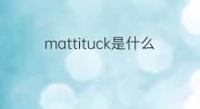 mattituck是什么意思 mattituck的中文翻译、读音、例句