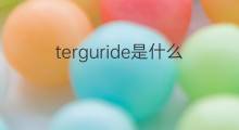 terguride是什么意思 terguride的中文翻译、读音、例句