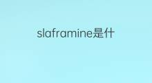 slaframine是什么意思 slaframine的中文翻译、读音、例句
