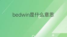 bedwin是什么意思 bedwin的中文翻译、读音、例句