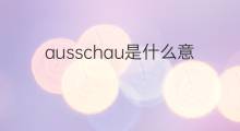ausschau是什么意思 ausschau的中文翻译、读音、例句