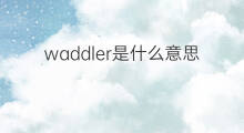 waddler是什么意思 waddler的中文翻译、读音、例句