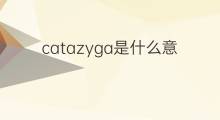 catazyga是什么意思 catazyga的中文翻译、读音、例句