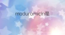 maduramicin是什么意思 maduramicin的中文翻译、读音、例句