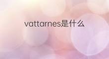vattarnes是什么意思 vattarnes的中文翻译、读音、例句