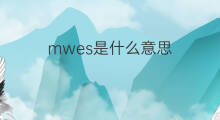 mwes是什么意思 mwes的中文翻译、读音、例句