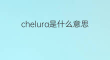 chelura是什么意思 chelura的中文翻译、读音、例句