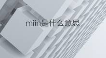 miin是什么意思 miin的中文翻译、读音、例句